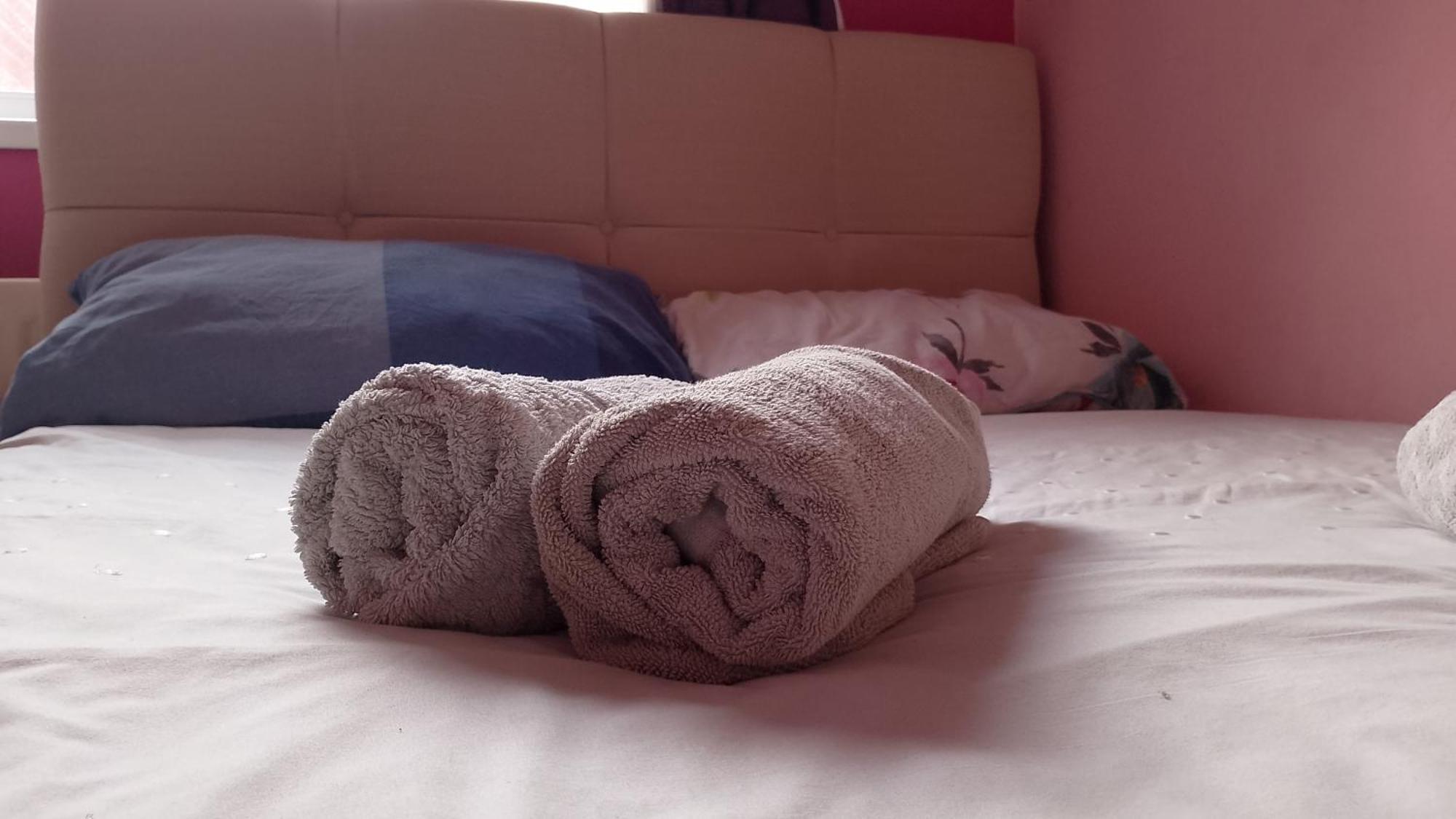 Iris House Apartment Belfast Bagian luar foto
